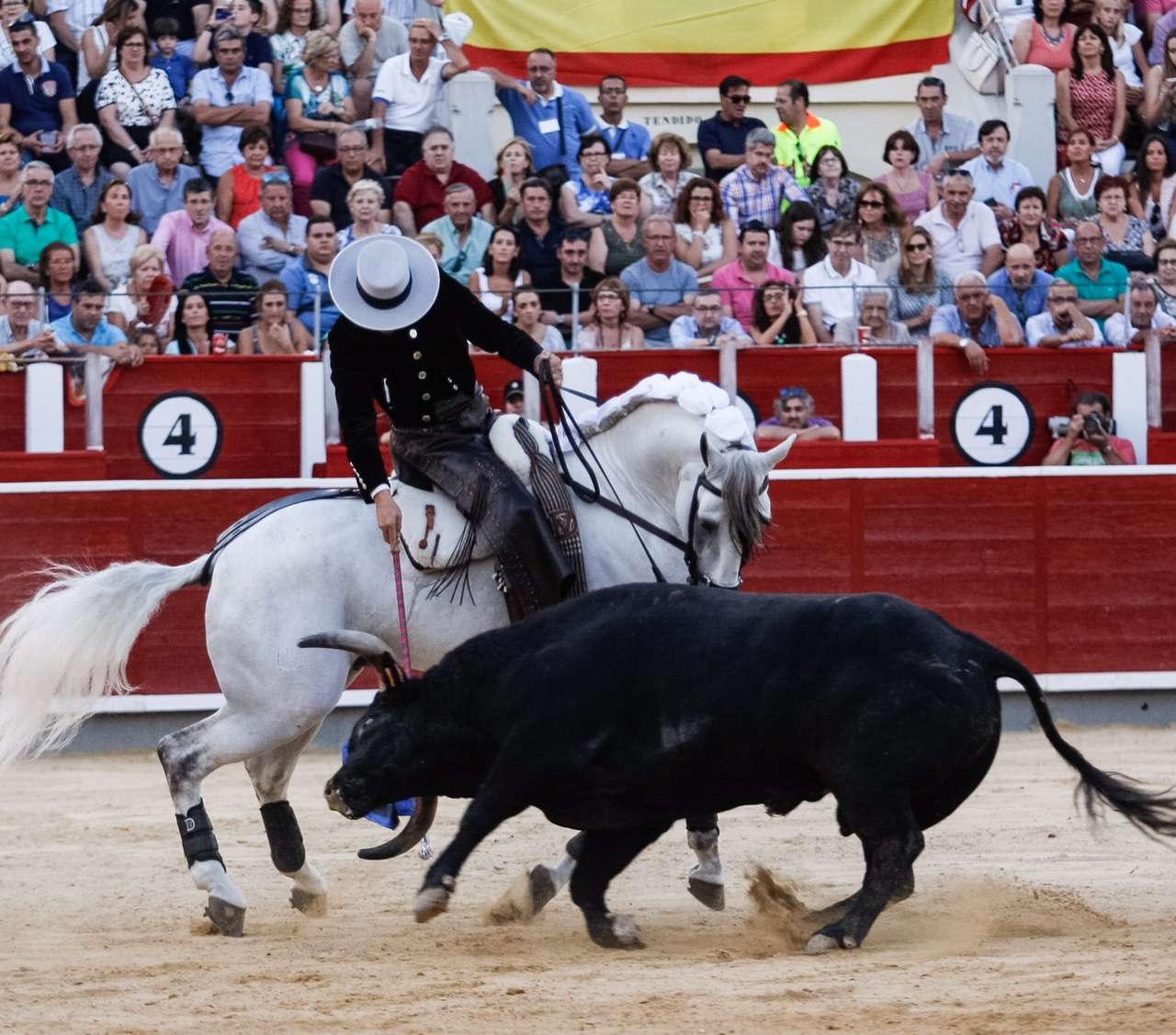 Albacete14