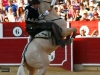 alalbacete2013_04