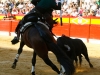 alicante13_4