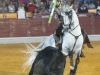 almagro10_7
