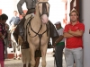 almeria11_1