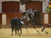 almeria11_12