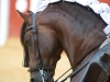 almeria11_2