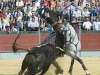 almonte10_12