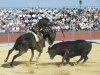 almonte10_5