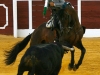 antequera13_04