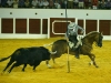 antequera13_12