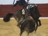 aracena10_1