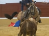 aracena10_3