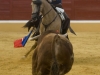 aracena10_5