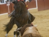 aracena10_8