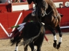 arevalo12_05