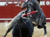 arevalo12_10