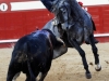 arevalo12_11