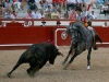 arevalo13_10