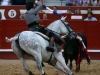 arevalo13_15