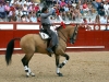 arevalo13_2