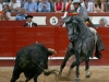 arevalo13_7