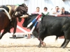 big_130409_03-1