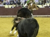 lisboa11_7
