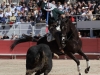 arles12_01