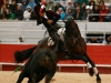 arles13_010