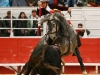 arles13_04