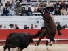 arles14_12
