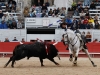arles14_13