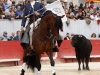 arles14_2