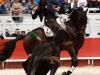 arles14_4