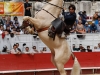 arles14_7