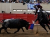 moroleon12_7