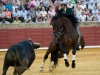 cordoba11_7