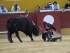 avila11_11