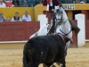 avila11_8