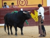 badajoz10_13