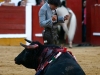 badajoz13_14