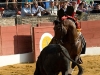 baeza11_1