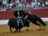 baeza11_11