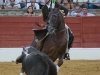 baeza11_8
