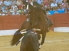 baeza2012_10