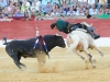 baeza2012_14