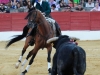 baeza2012_7