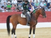baeza2012_8