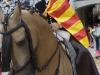 barce10_2