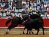 barce11_6