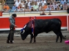 bilbao11_14