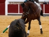 brihuega14_10