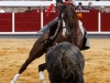 brihuega14_2